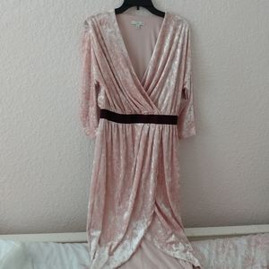 Eve Mendes Velvet Pink Cocktail Dress
